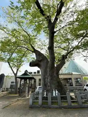阿邪訶根神社の{uncategorized: "未分類", other: "その他", undefined: "問題あり", building: "その他建物", grave: "お墓", sacred_gate: "鳥居", guardian: "狛犬", statue: "像", buddha: "仏像", history: "歴史", nature: "自然", garden: "庭園", animal: "動物", pagoda: "塔", temizu: "手水舎", mountain_gate: "山門・神門", sanctuary: "本殿・本堂", subordinate: "末社・摂社", art: "芸術", scenery: "景色", jizo: "地蔵", ema: "絵馬", goshuin: "御朱印", omikuji: "おみくじ", items: "授与品その他", amulet: "お守り", goshuincho: "御朱印帳", eats: "食事", festival: "お祭り", votive_dance: "神楽", shichigosan: "七五三参", wedding: "結婚式", experience: "体験その他", initially: "初詣", around: "周辺", anti_infection: "感染症対策"}