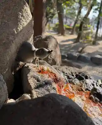 豊國神社(愛知県)