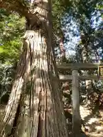 北野神社のその他建物