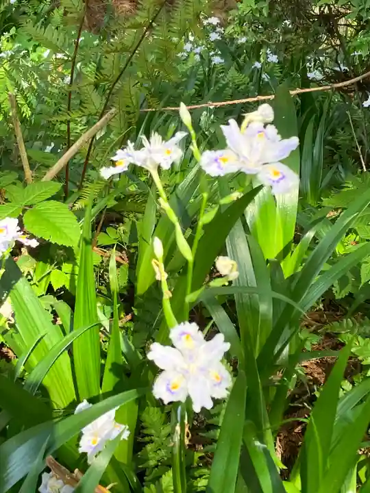 七国山薬王寺の自然