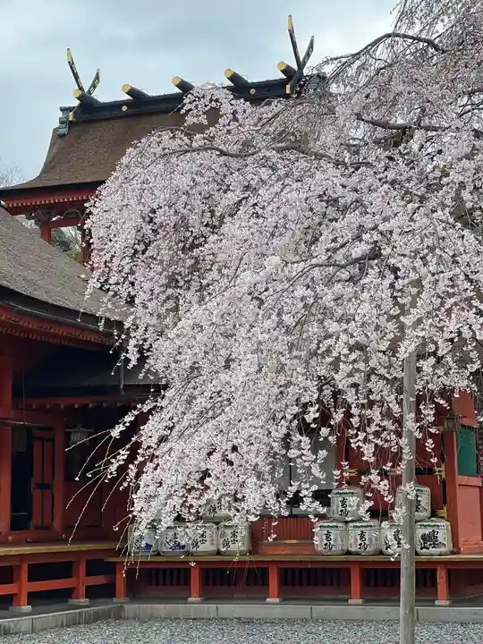 富士山本宮浅間大社(静岡県)