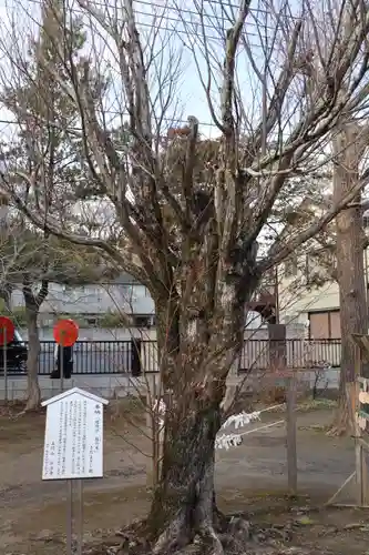 手児奈霊神堂のその他建物