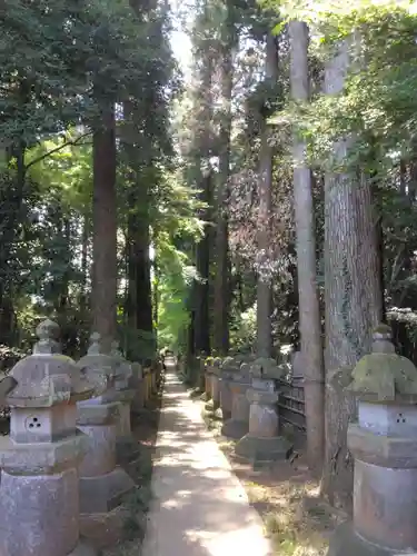 平林寺(埼玉県)
