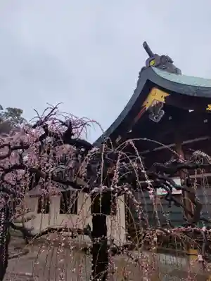 結城神社の本殿・本堂