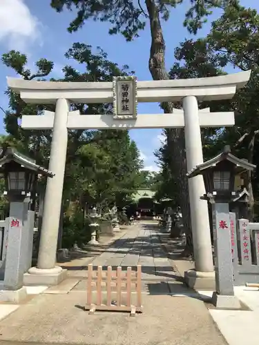 菊田神社の鳥居