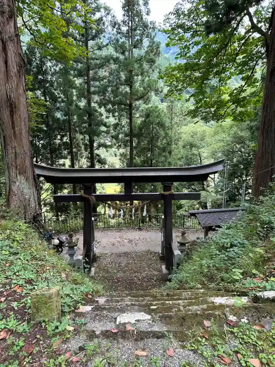 大宮諏訪神社(長野県)