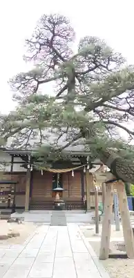 瑞光寺の本殿・本堂