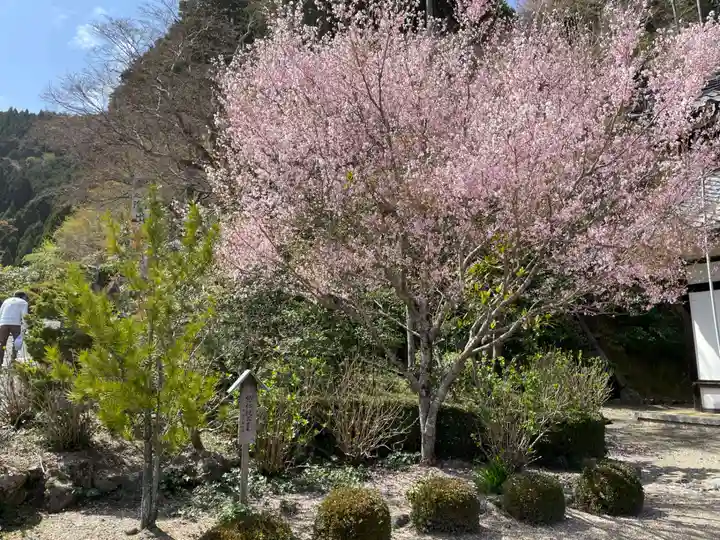 善峯寺(京都府)