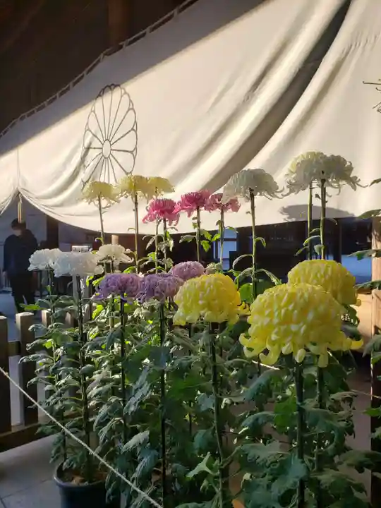 阿佐ヶ谷神明宮(東京都)