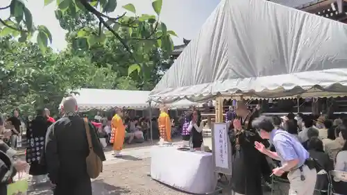 仁和寺のお祭り