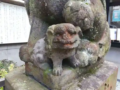 柏神社の狛犬