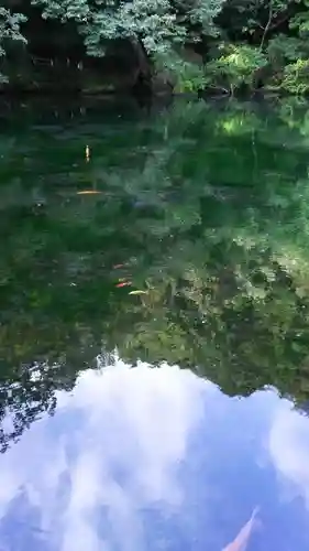 涌釜神社の庭園