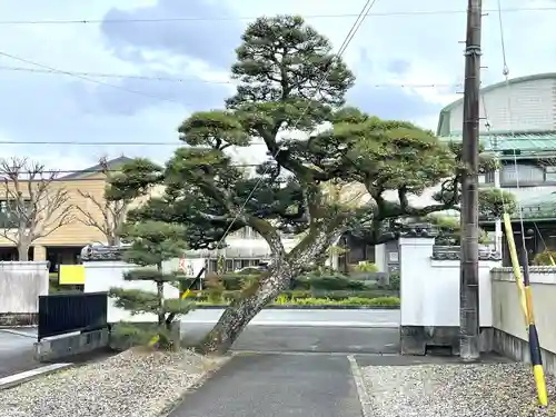 等観寺(三重県)