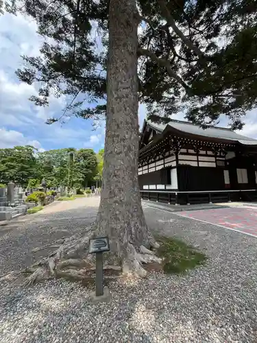 安養寺(東京都)