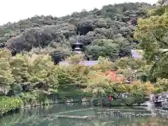 禅林寺（永観堂）(京都府)