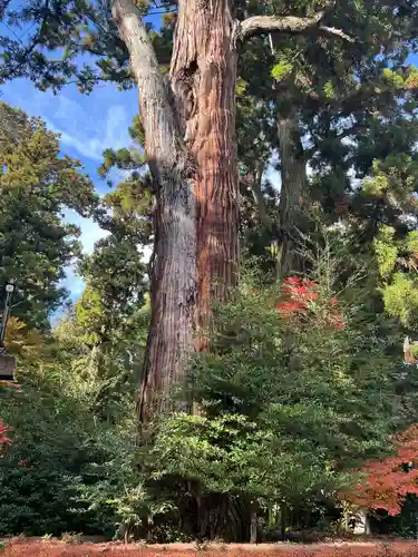 香取神宮(千葉県)
