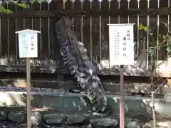 若狭姫神社（若狭彦神社下社）(福井県)