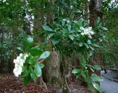 伊勢神宮内宮（皇大神宮）(三重県)