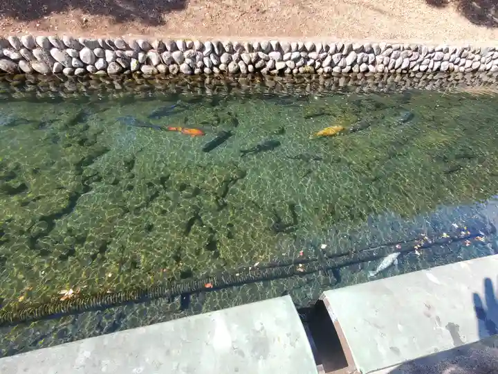 松葉寺(栃木県)