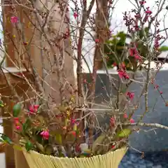 高司神社〜むすびの神の鎮まる社〜の自然