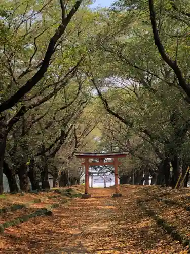 東蕗田天満社の鳥居