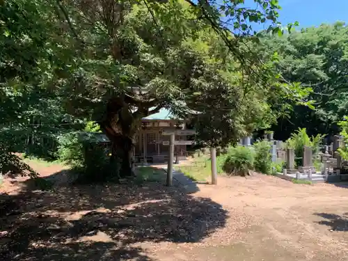 瀧水寺(千葉県)