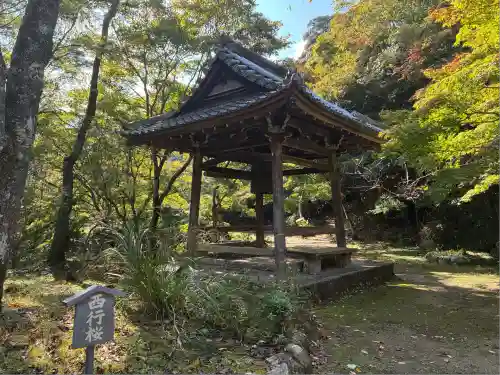 勝持寺（花の寺）(京都府)