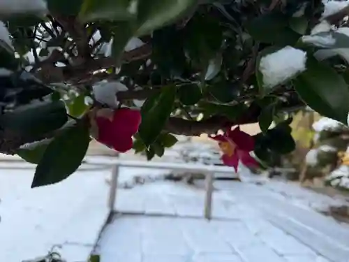 西方山極楽寺(岐阜県)