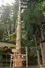 諏訪大社下社春宮(長野県)