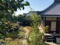 霊鑑寺門跡の庭園