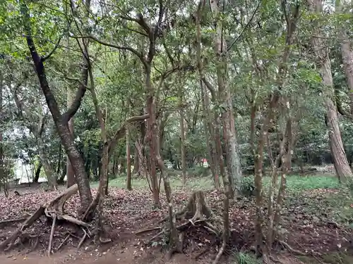 江田神社(宮崎県)