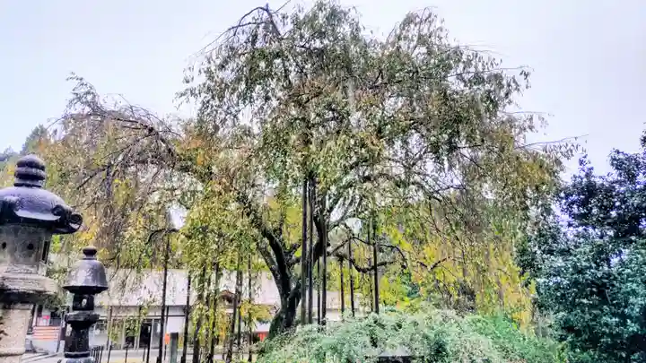 足羽神社(福井県)