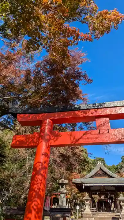 竹中稲荷神社(吉田神社末社)(京都府)