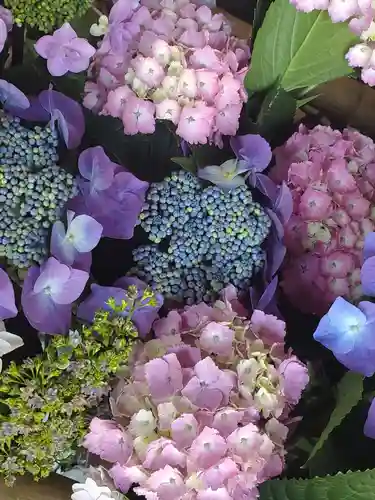 草薙神社(静岡県)