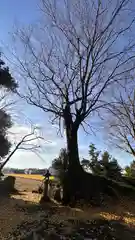 日吉神社(滋賀県)