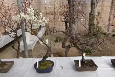 菅原天満宮（菅原神社）の周辺