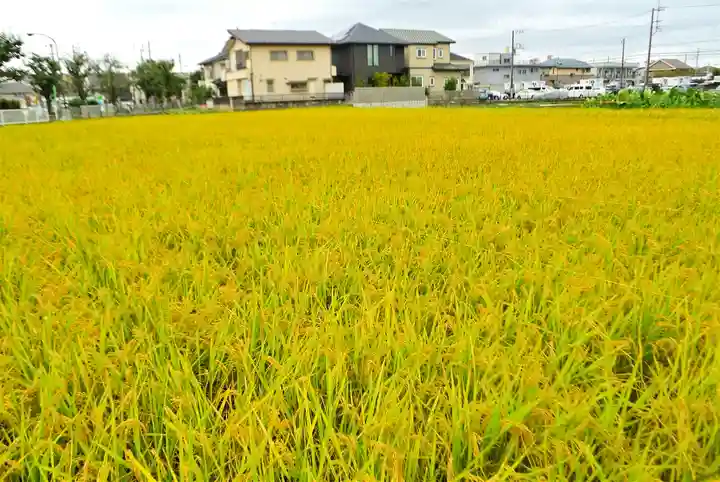 瀧神社(東京都)