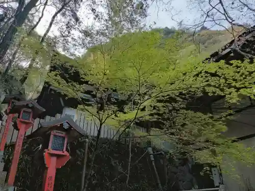 大本山七宝瀧寺(大阪府)