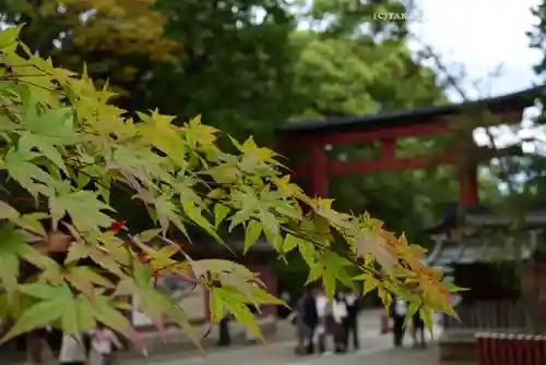 武蔵一宮氷川神社(埼玉県)