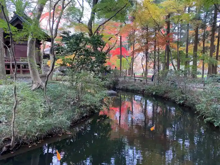 平林寺(埼玉県)