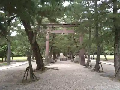 出雲大社(島根県)