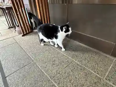 王子神社(徳島県)