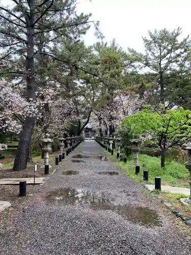 鶴嶺八幡宮のその他建物