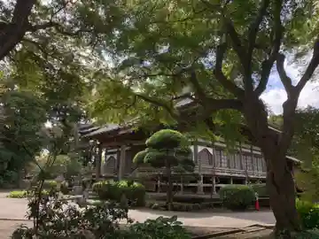 善勝寺の本殿・本堂
