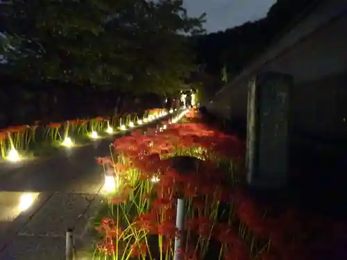 横浜　西方寺の自然