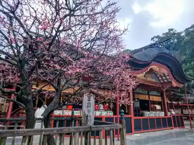 太宰府天満宮の本殿・本堂