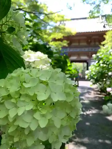 久安寺(大阪府)