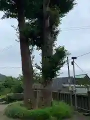 御霊神社の自然