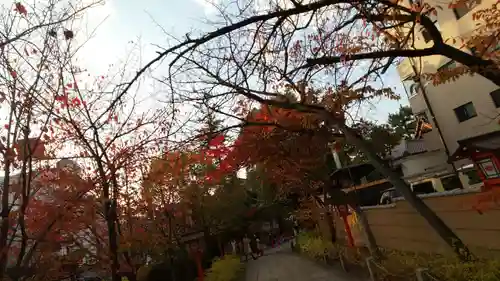 安井金比羅宮の周辺