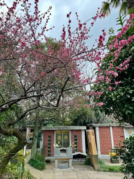定泉寺(東京都)